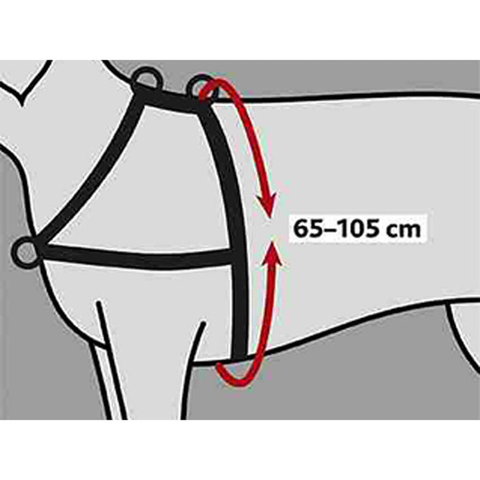 V6HE62A0C77FD9BBE56396691DB3F762E7BR7441896P2