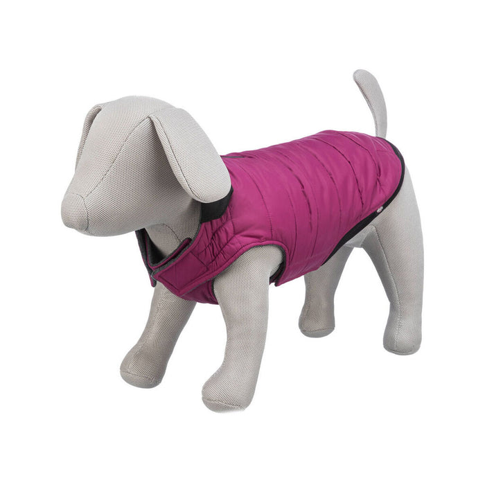 V7H0F4EEDC5F71654BE9B7FF2D840389786R7455149P9