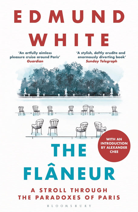The Flaneur : A Stroll through the Paradoxes of Paris