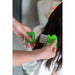 V6HCD5B7A1A273ED39702445BD27B677BADR4326730P2