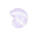 V4H7398B4CE6329B1C2A617D8BAEC61DD98R4427366P4