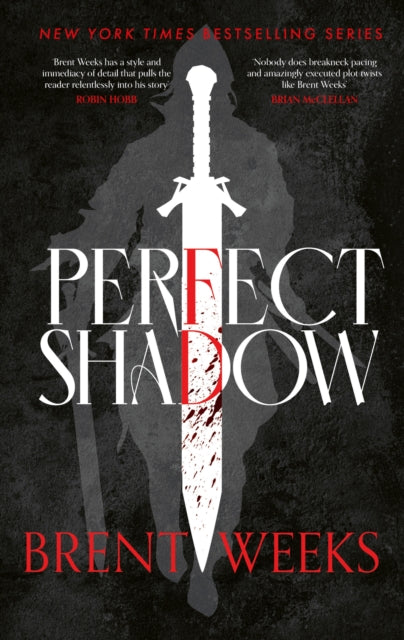 Perfect Shadow : A Night Angel Novella