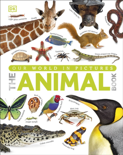 The Animal Book : A Visual Animal Kingdom Encyclopedia for Kids