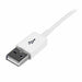 V4HCC4AFD24359D7BA64FEE1C8A8AC50258R3326363P3